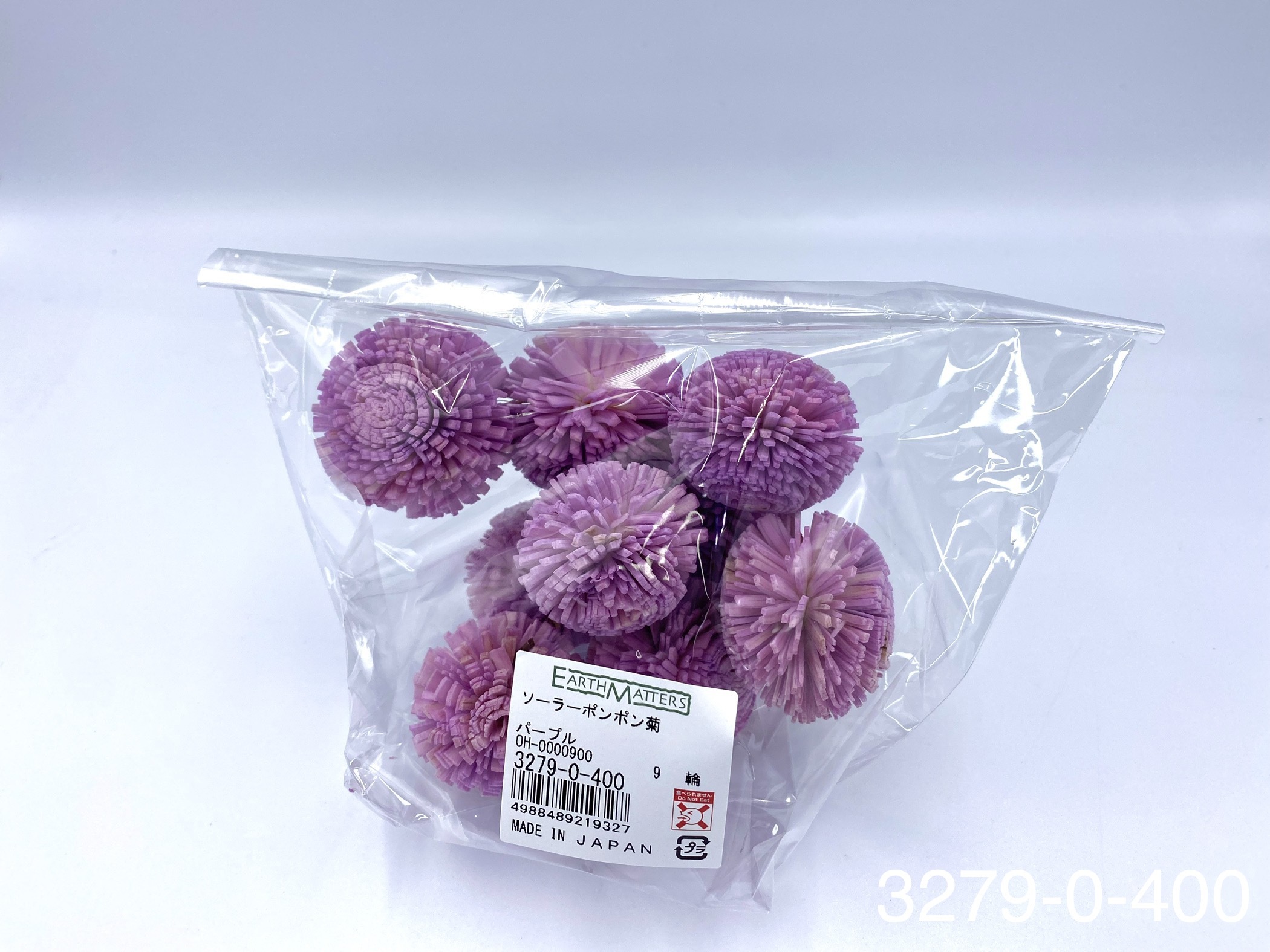 日本索拉乒乓菊 32790-400