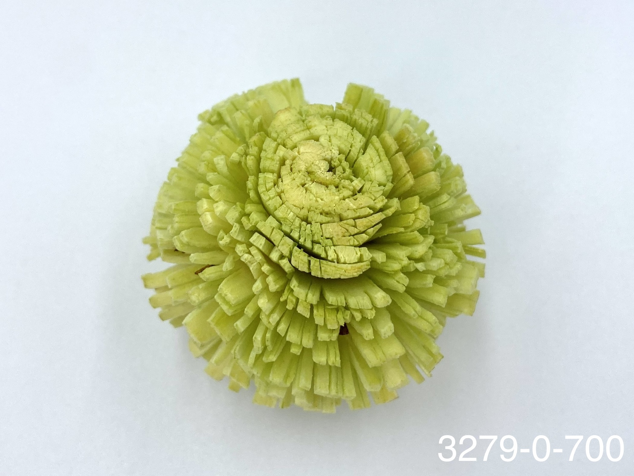 日本索拉乒乓菊 32790-700