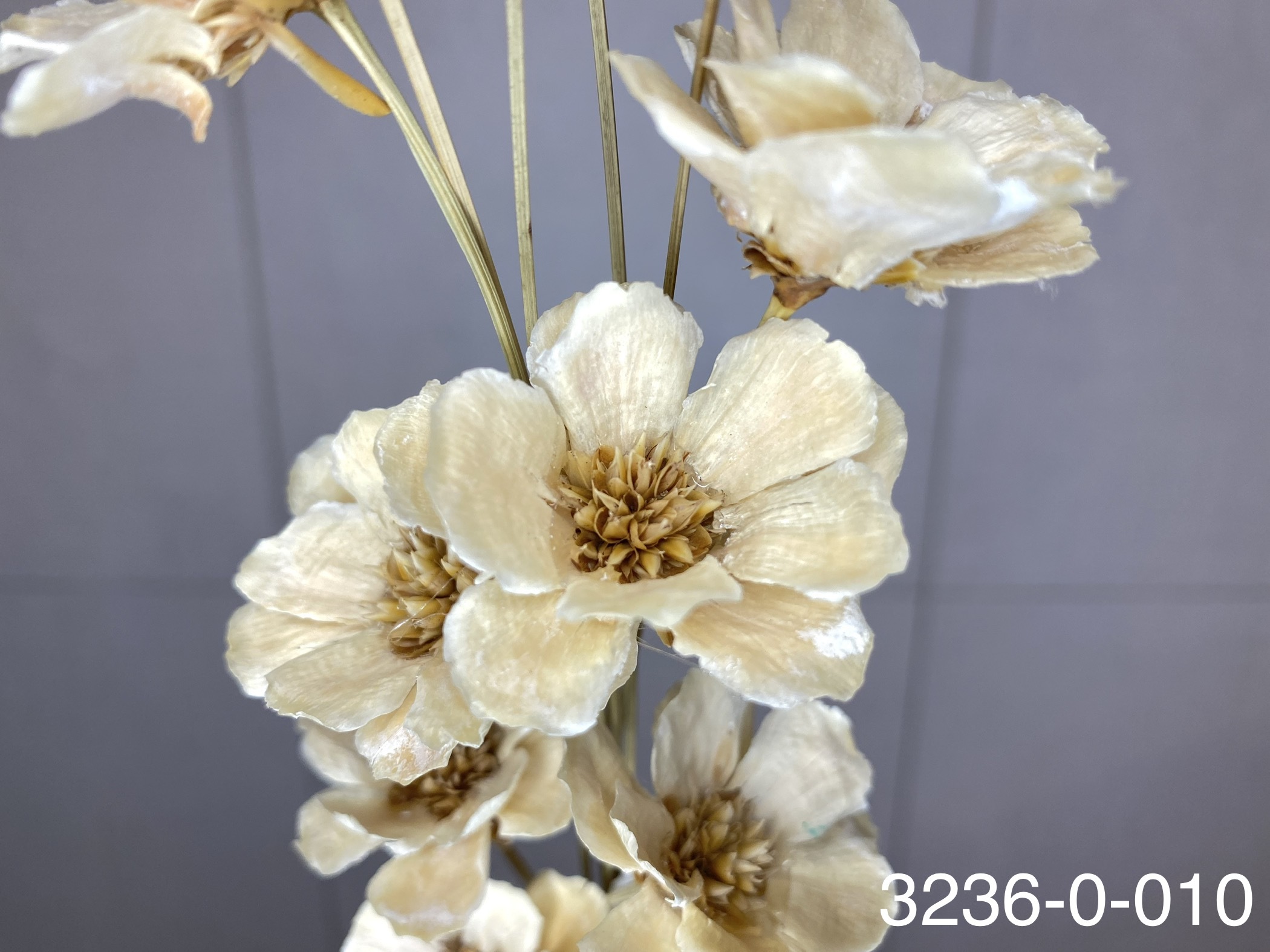 日本手工銀蓮花 32360-010