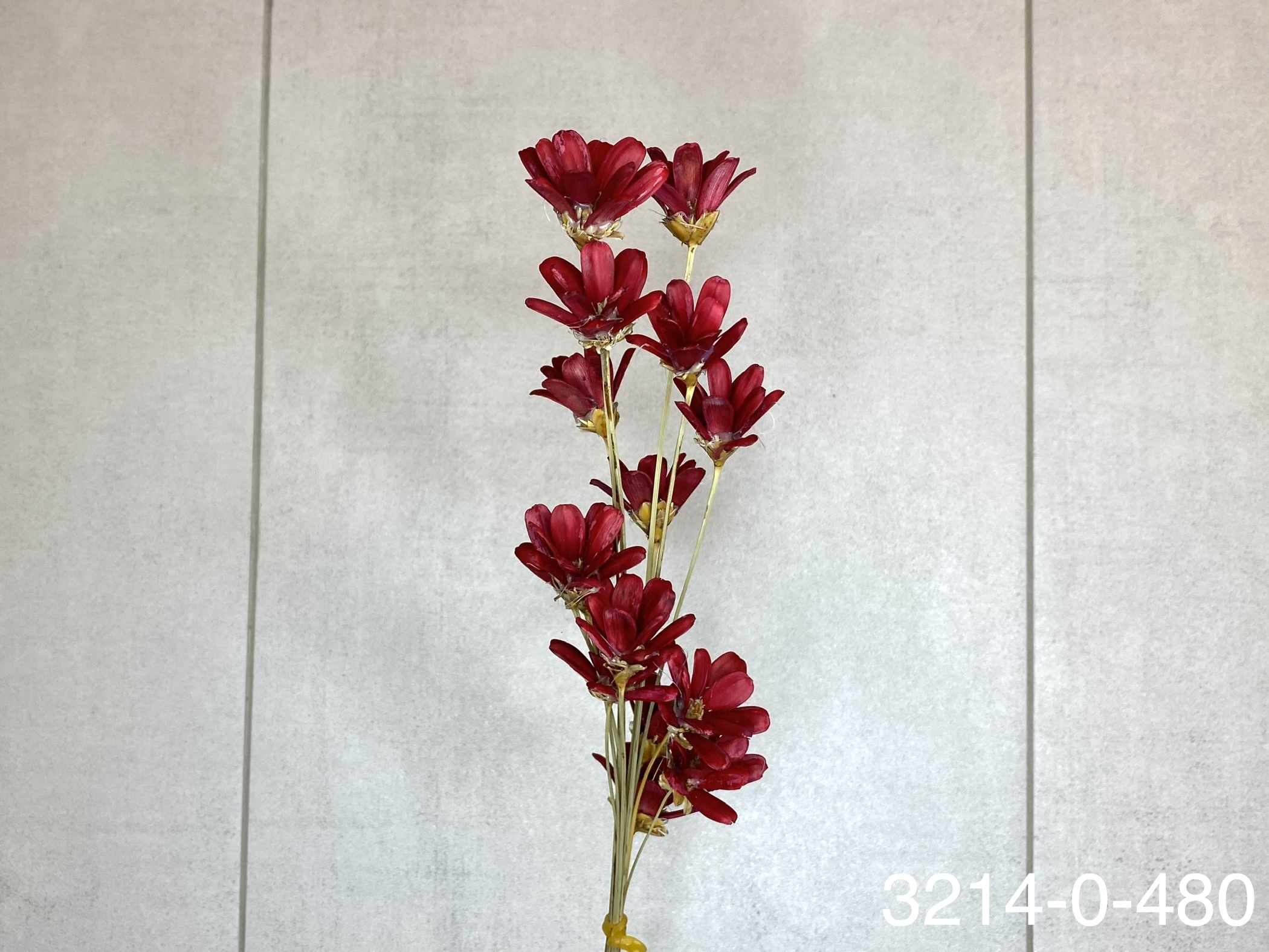 日本手工瓜子花 32140-480