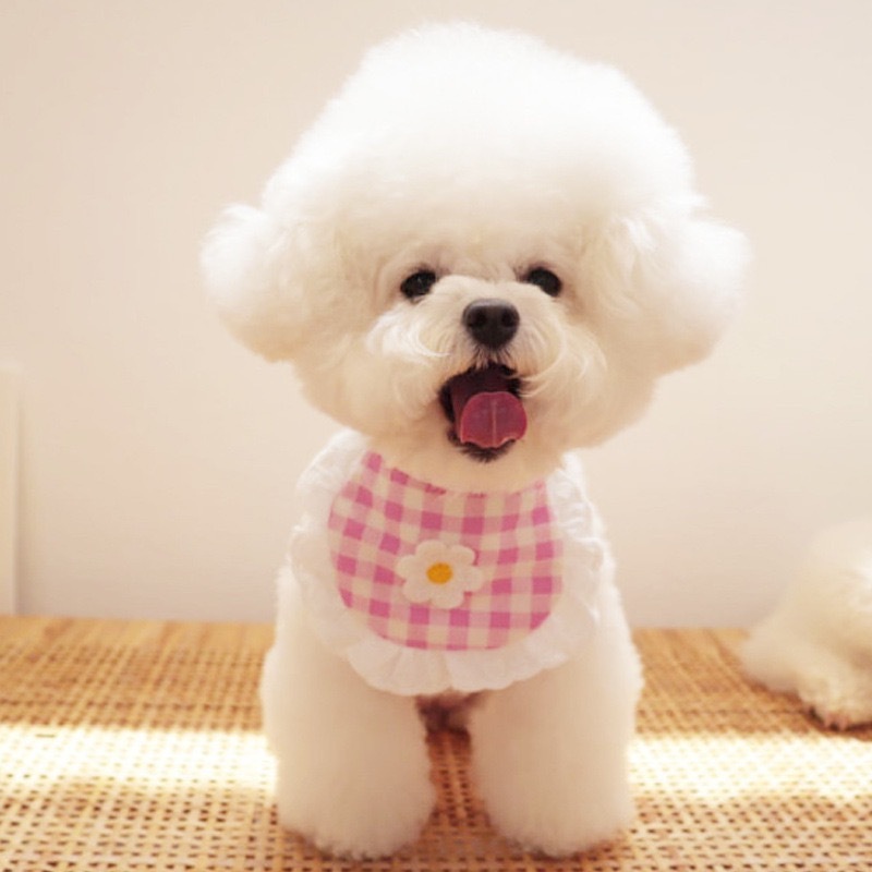 宠物衣服 花朵口水巾