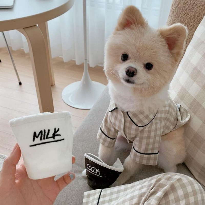 宠物衣服 家居服