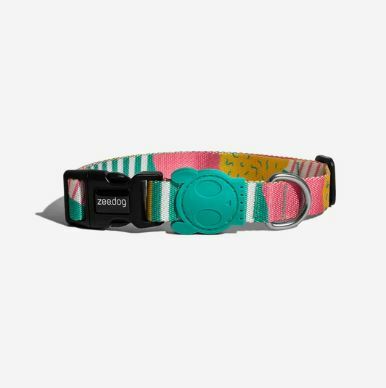 Zee Dog - Collar - SALINA