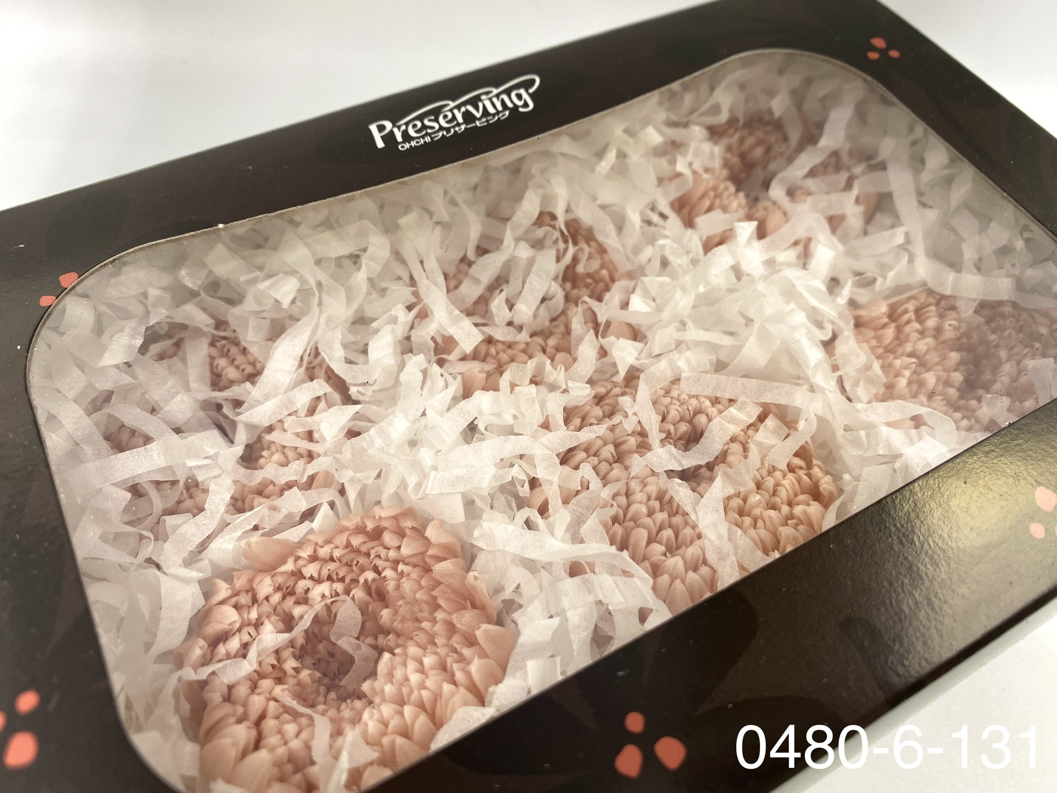 日本不凋輪菊(中/6朵) 04806-131