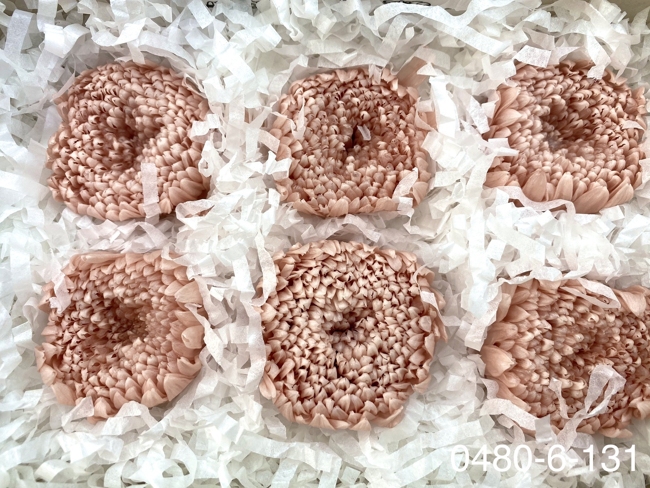 日本不凋輪菊(中/6朵) 04806-131