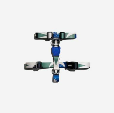 Zee Dog - H Harness - TAROT