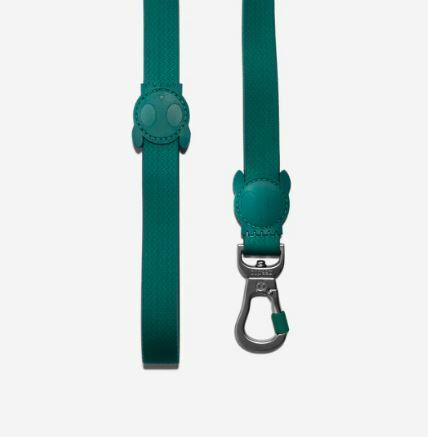 Zee Dog - Leash - NEOPRO AMAZONIA