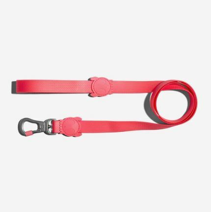 Zee Dog - Leash - NEOPRO BUBBLEGUM