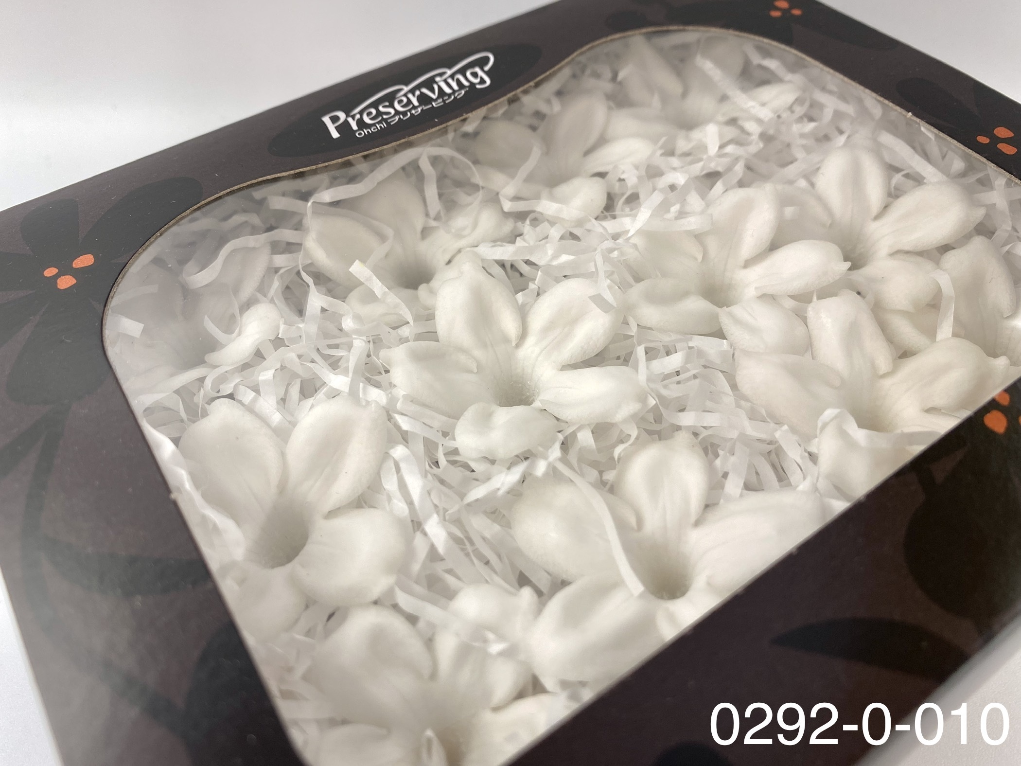 日本不凋茉莉花 (12朵)02920-010