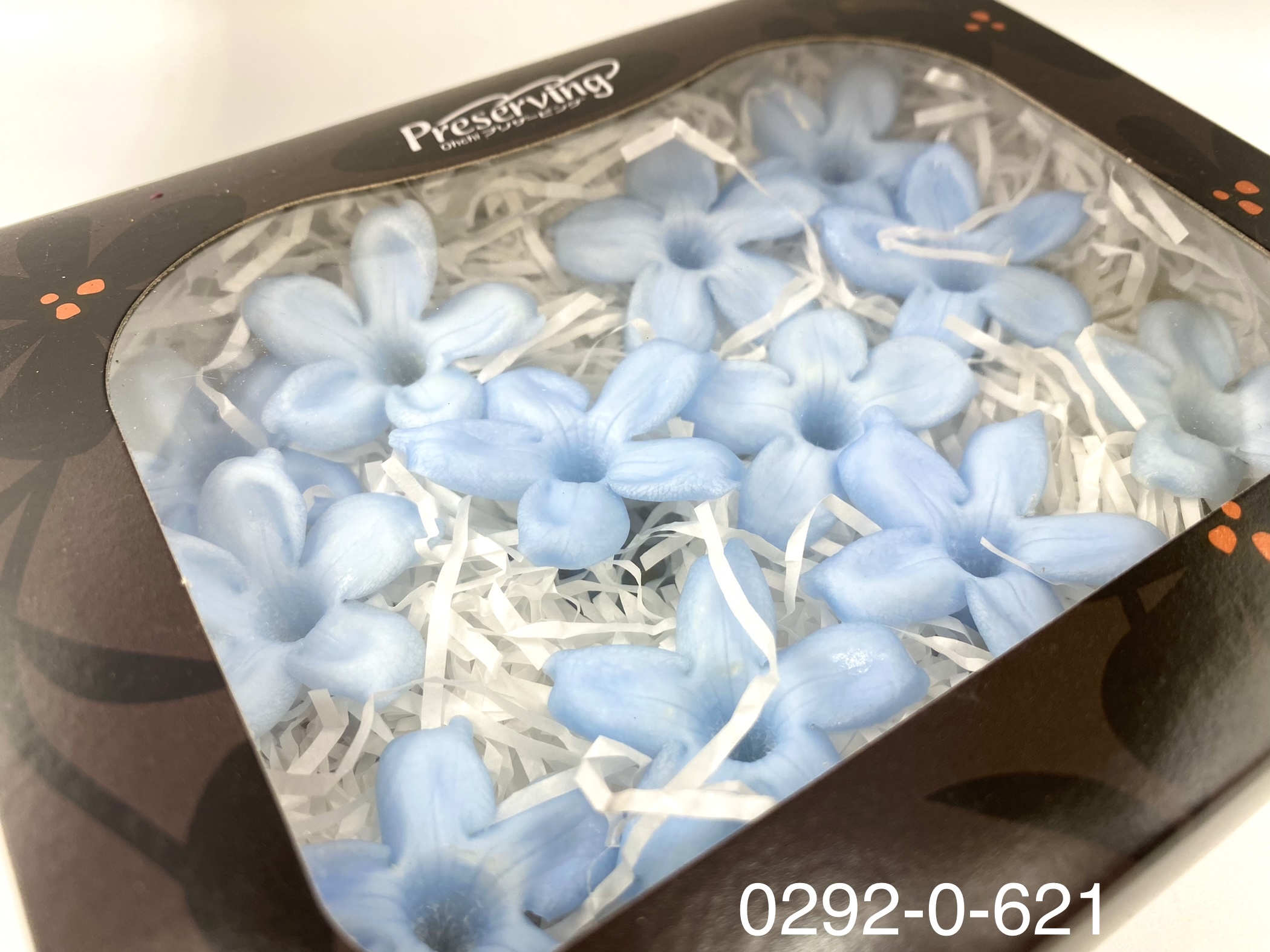 日本不凋茉莉花 (12朵)02920-621