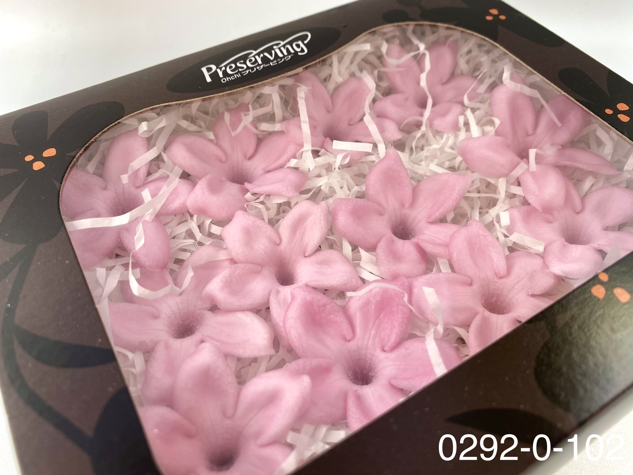 日本不凋茉莉花 (12朵)02920-102