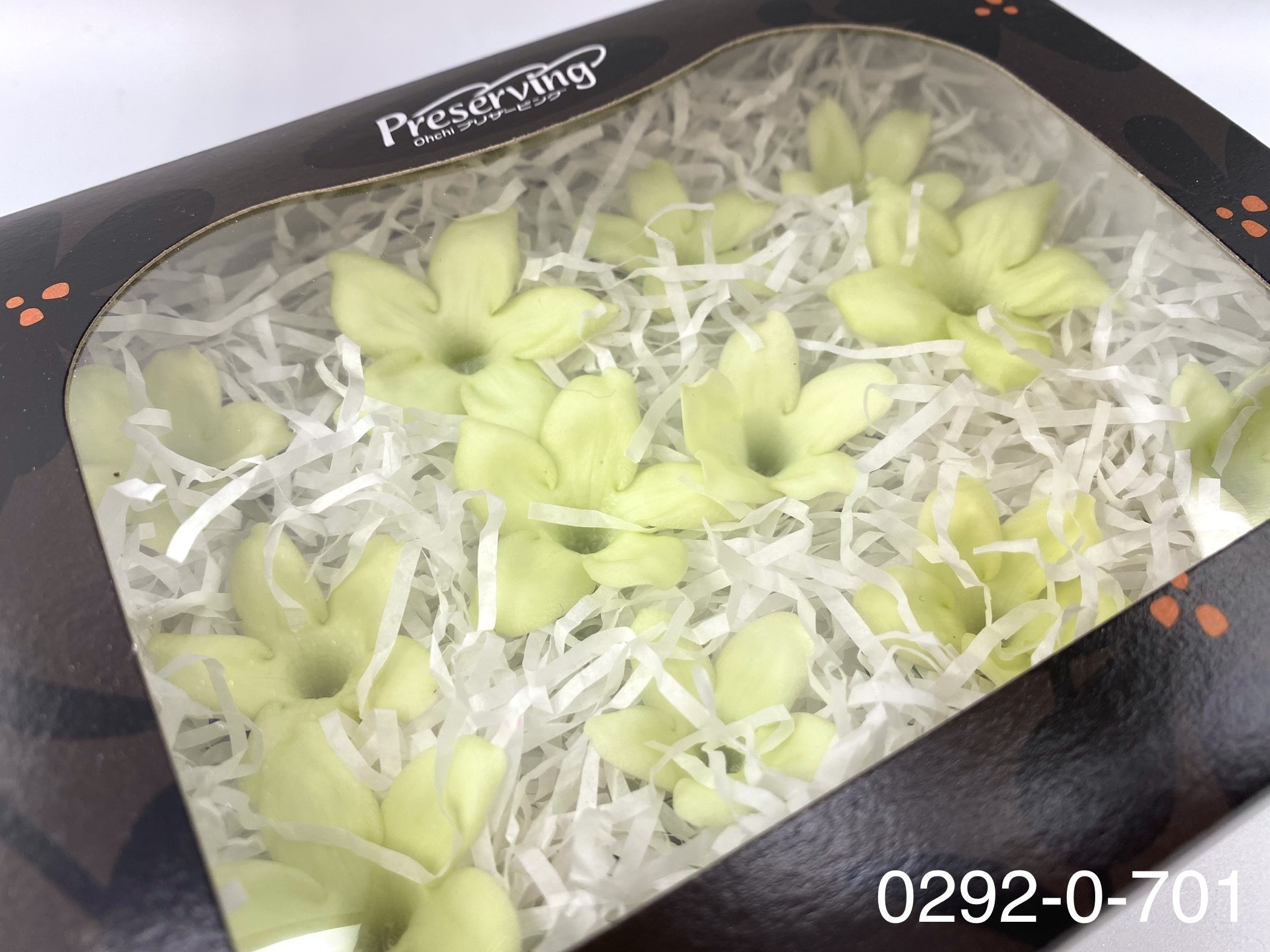 日本不凋茉莉花 (12朵)02920-701