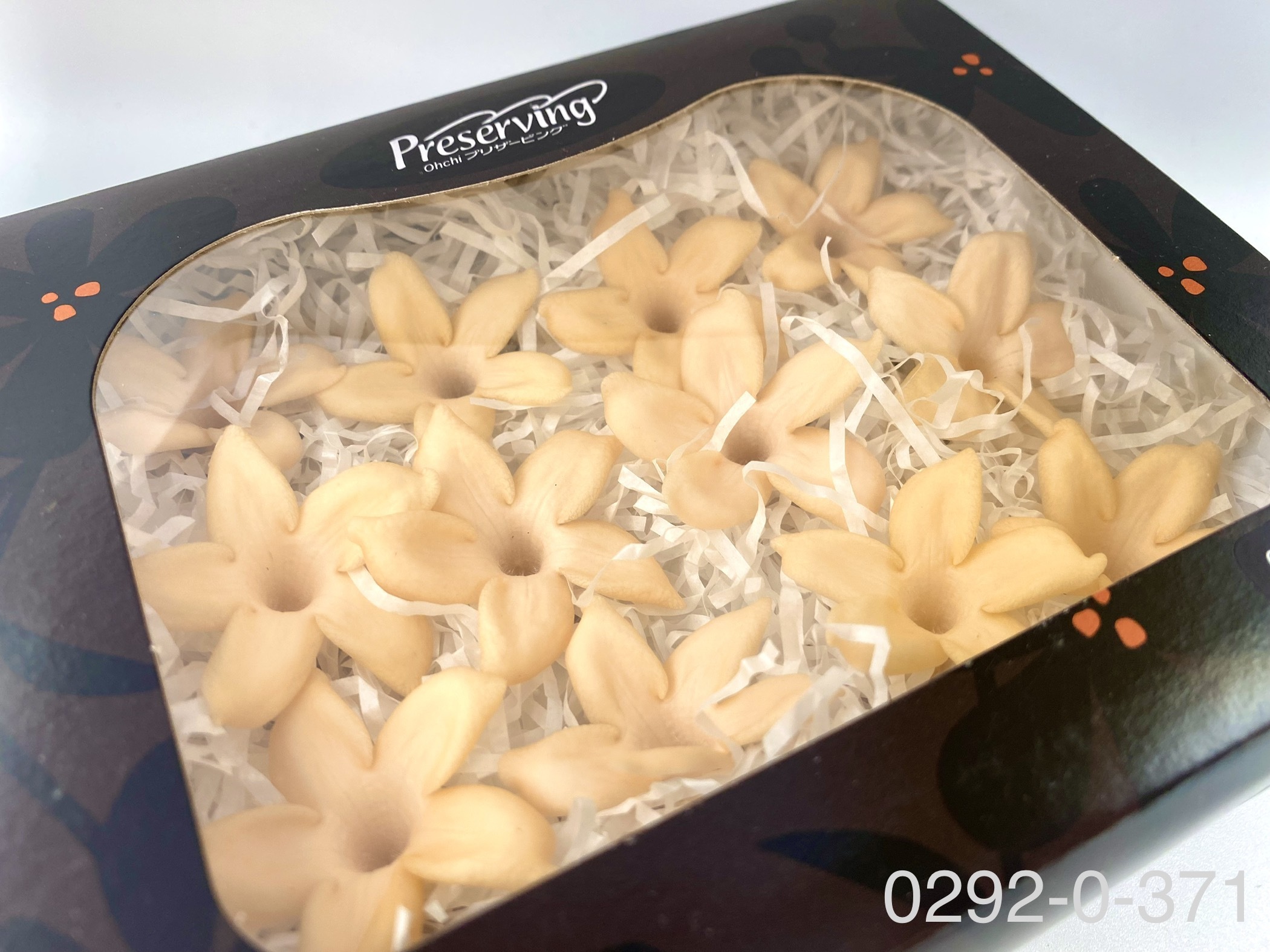 日本不凋茉莉花 (12朵)02920-371