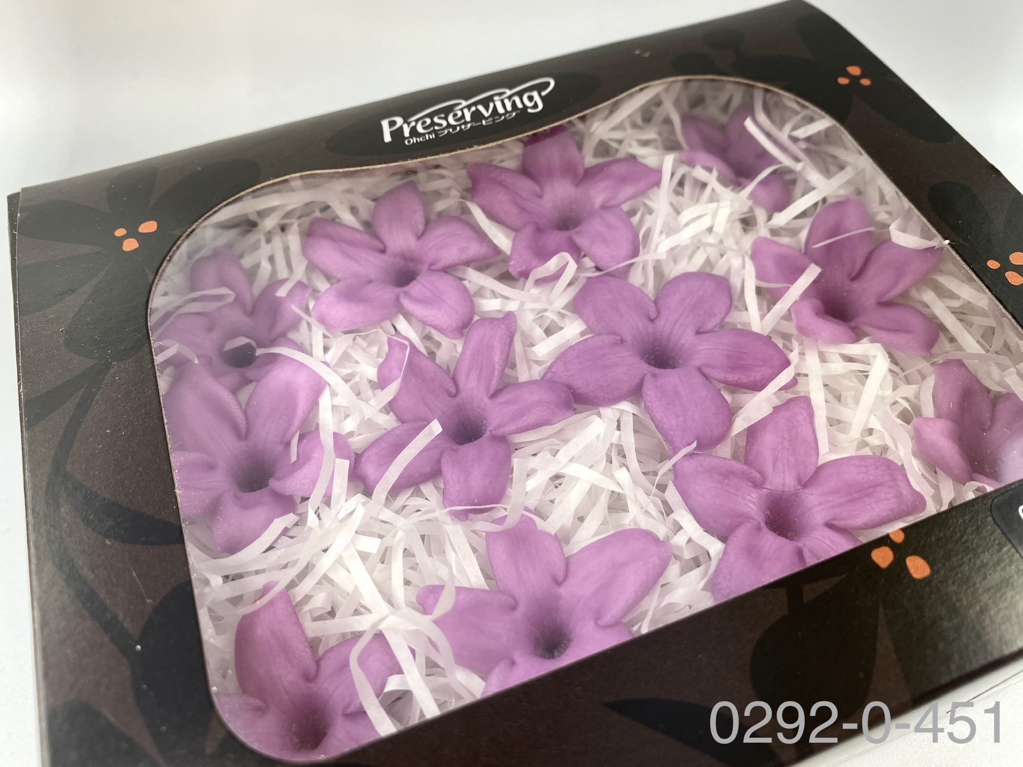 日本不凋茉莉花 (12朵)02920-451