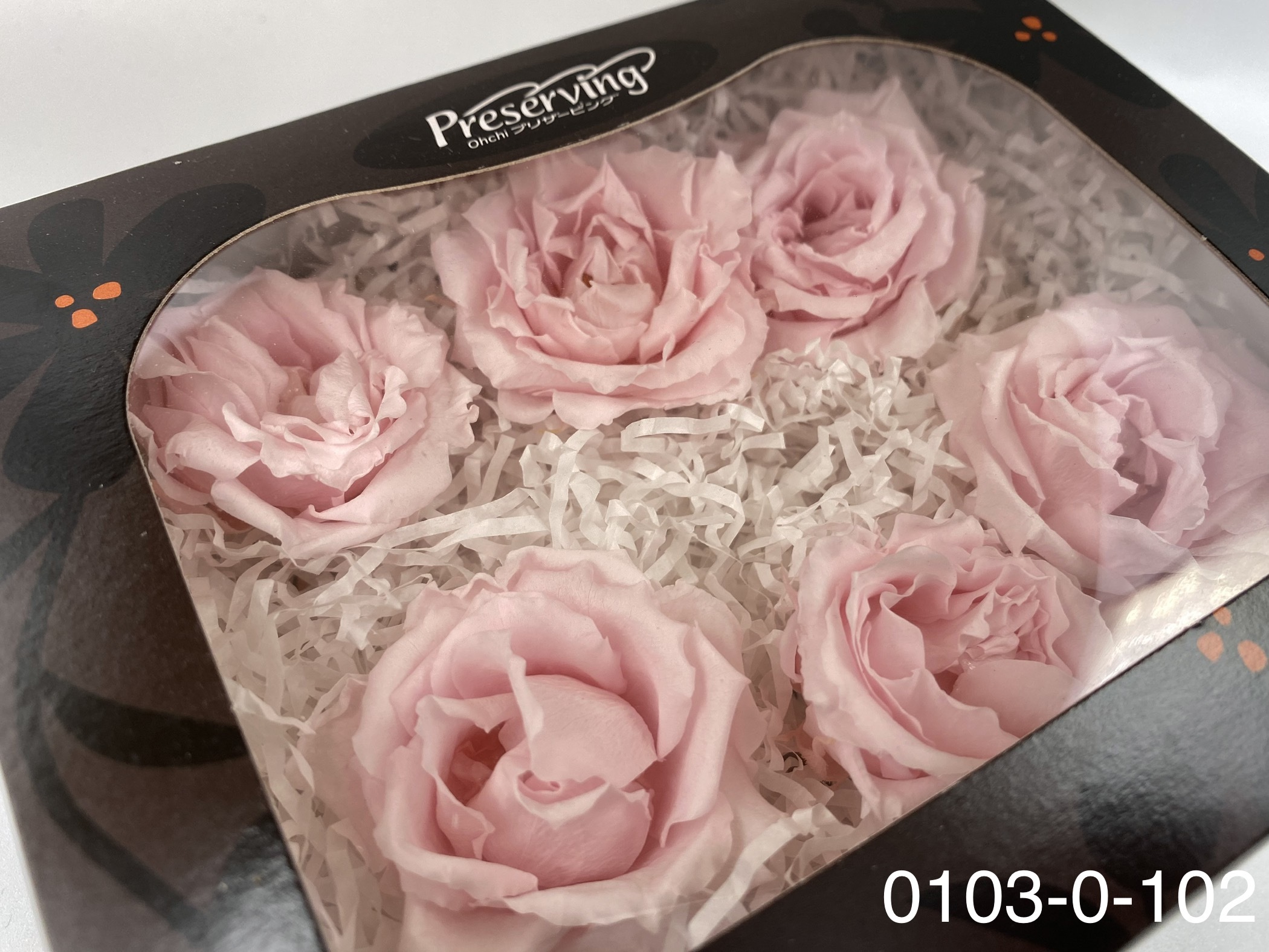 日本不凋馬加利卡玫瑰(6朵) 01030-102