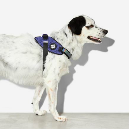 Zee Dog - FlyHarness - WICKED