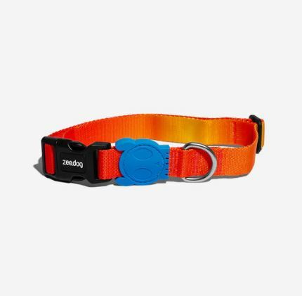 Zee Dog - Collar - SOLARIS - Medium