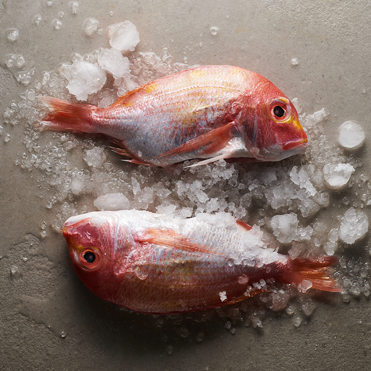 鮮魚-彭佳嶼現流急凍赤鯮 350-400g
