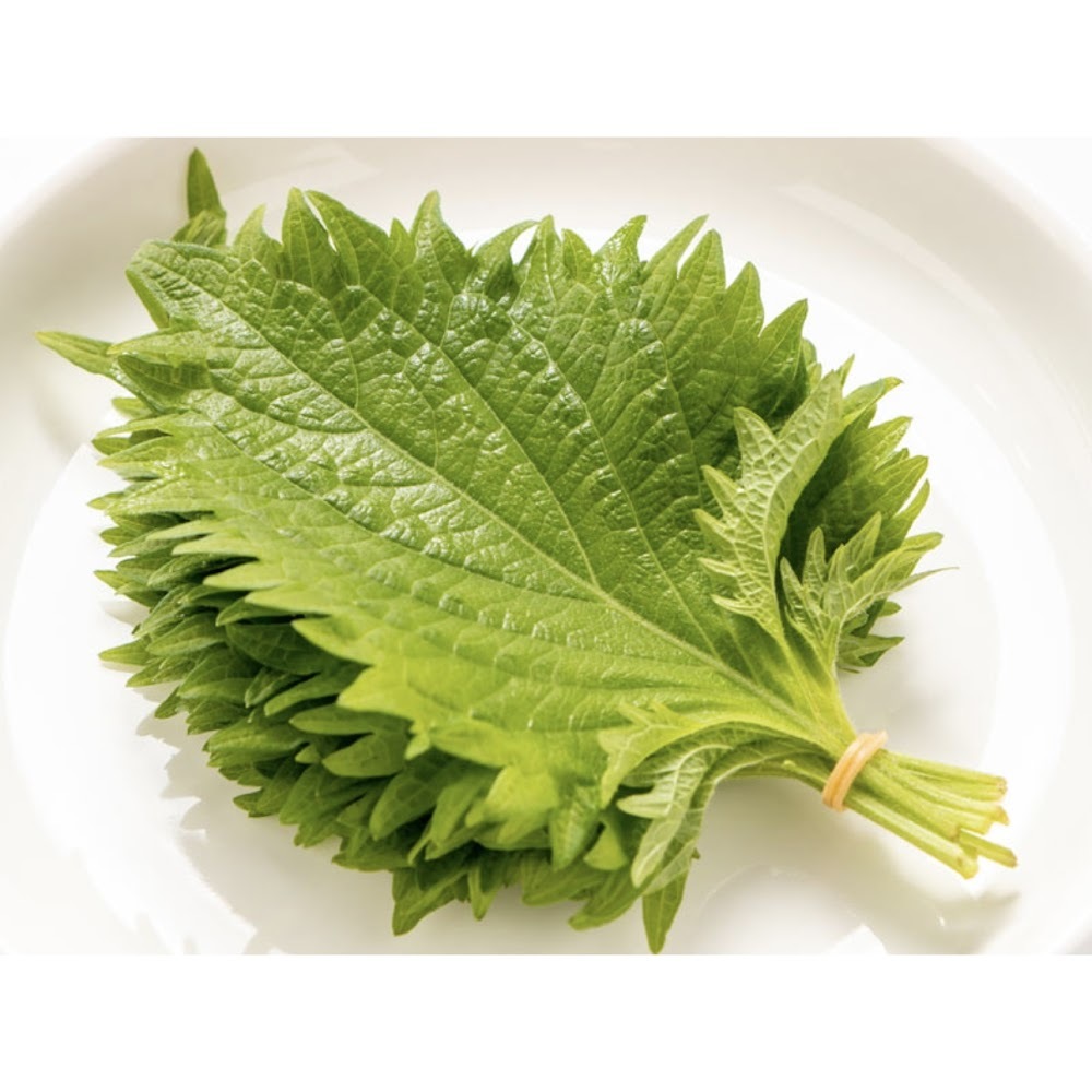 大葉 -- 每扎10塊