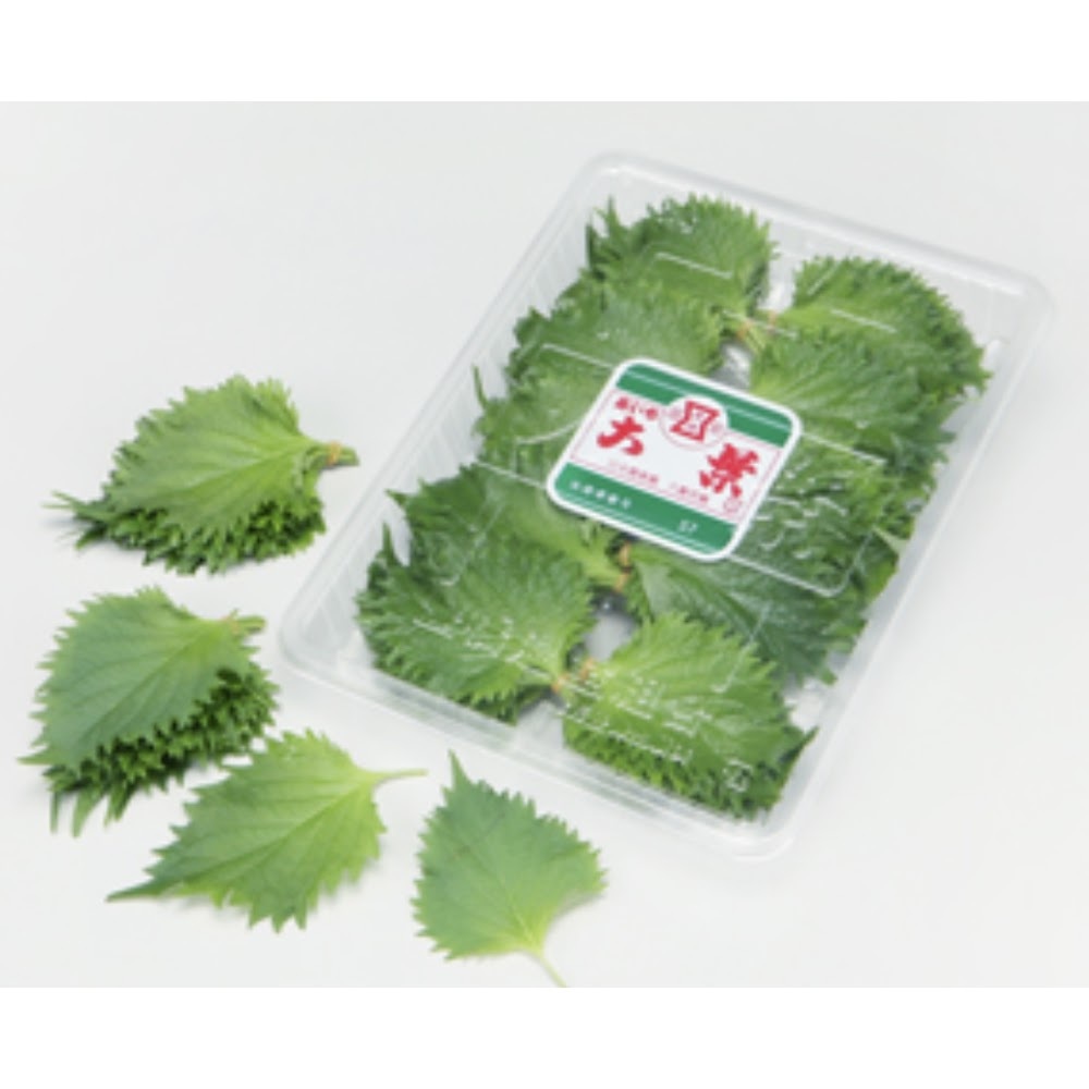 大葉 -- 每盒100塊