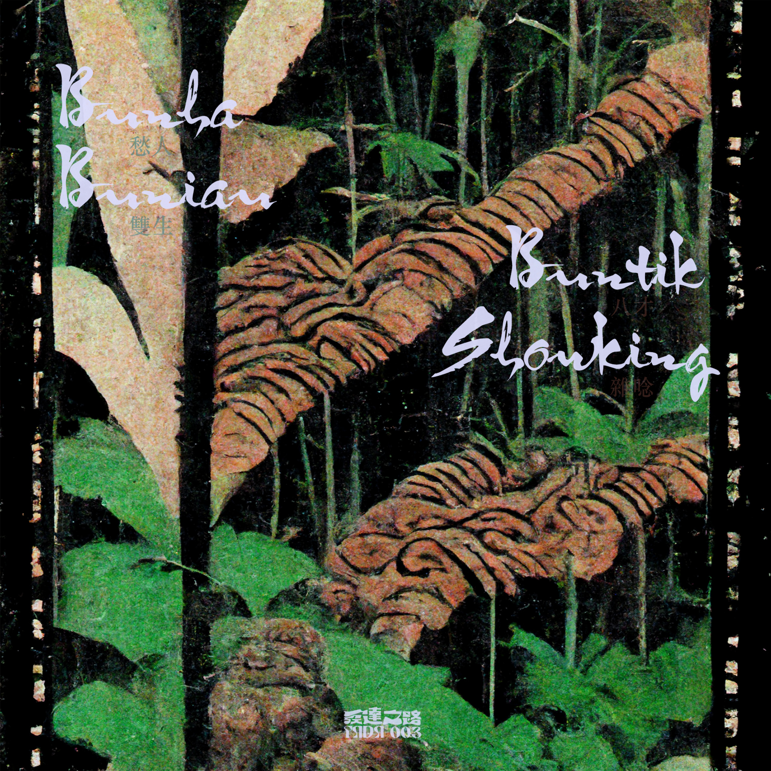 Mong Tong 夢東《Indies 印》（黑膠LP）