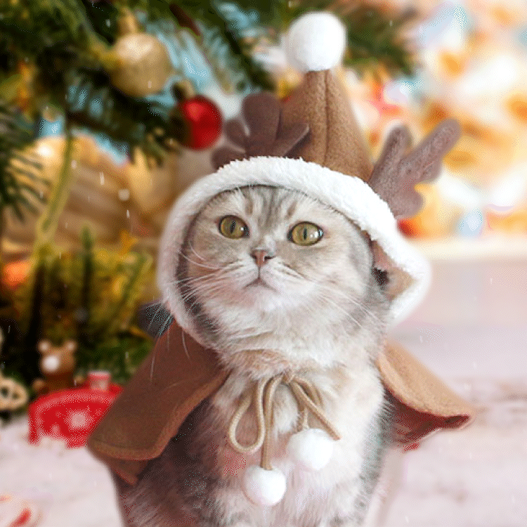 聖誕鹿寵物斗篷