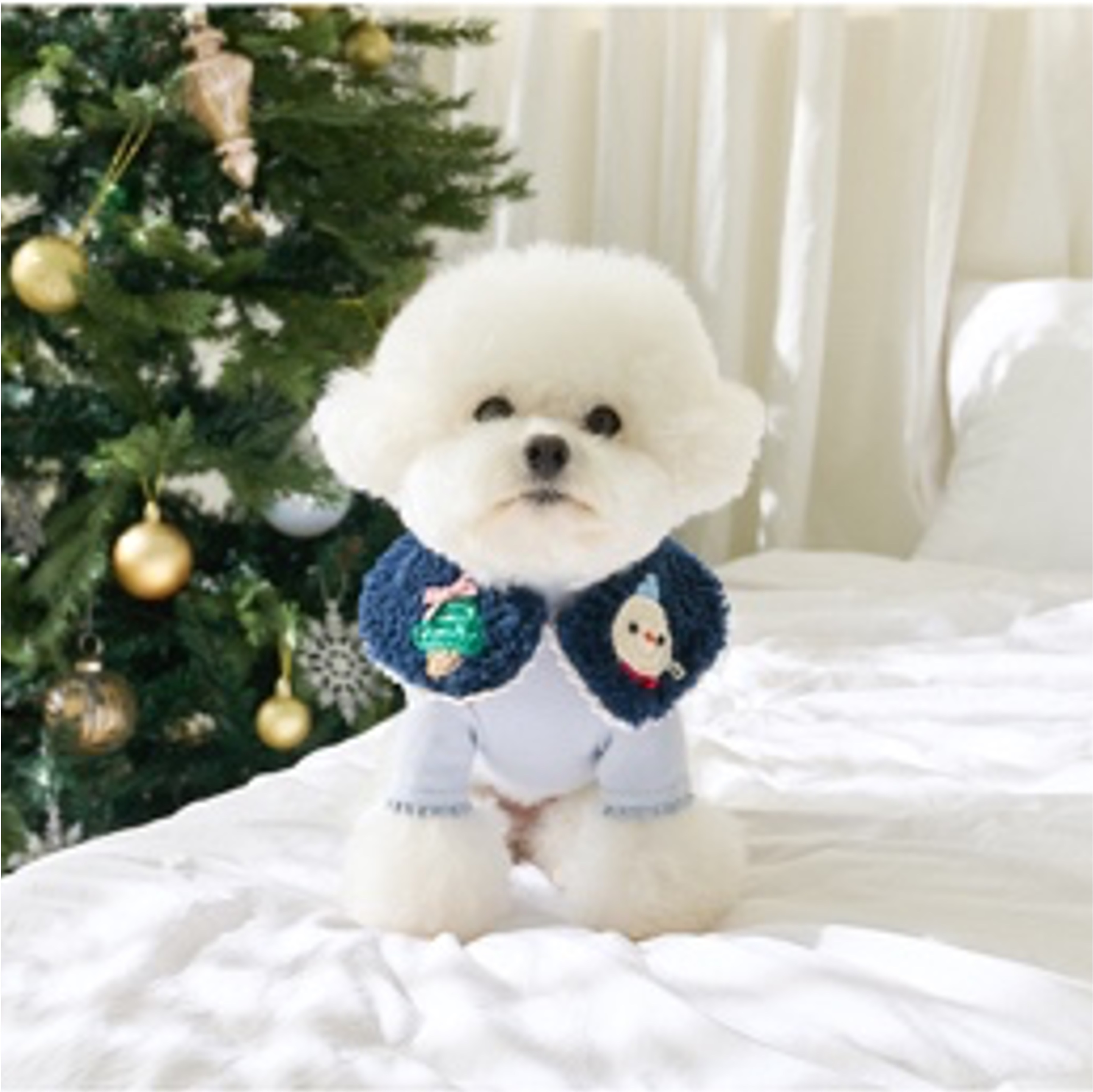 Bow Bow Christmas Cape