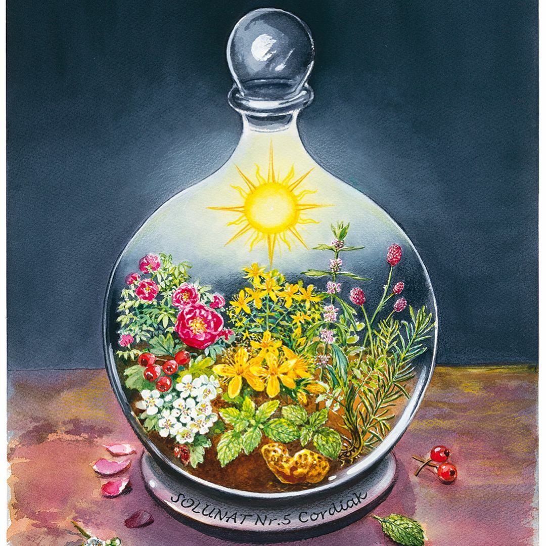 聖露那花園古法 | 24小時霜 30ml