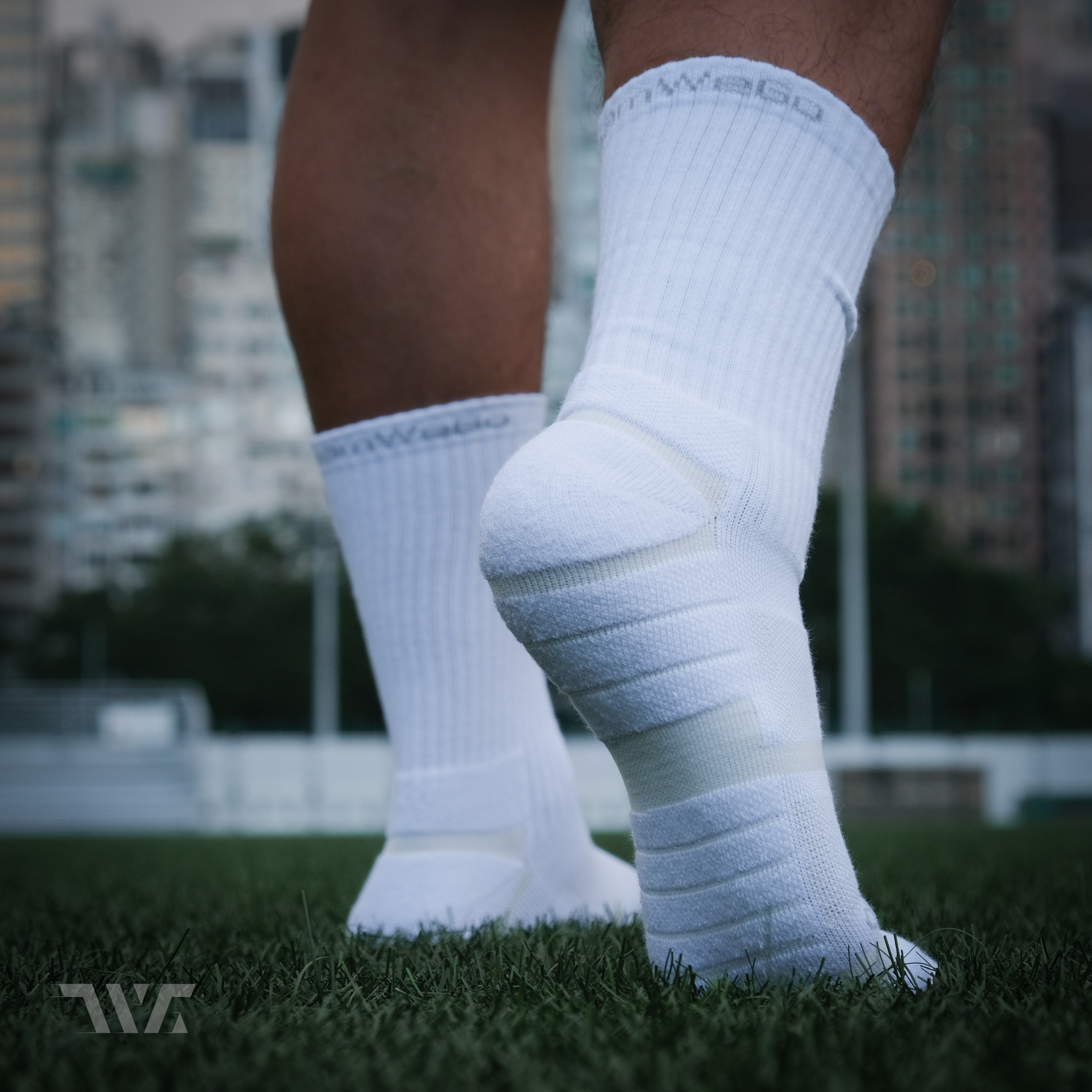 TeamWeGo Gear Daily Crew Socks (3對)