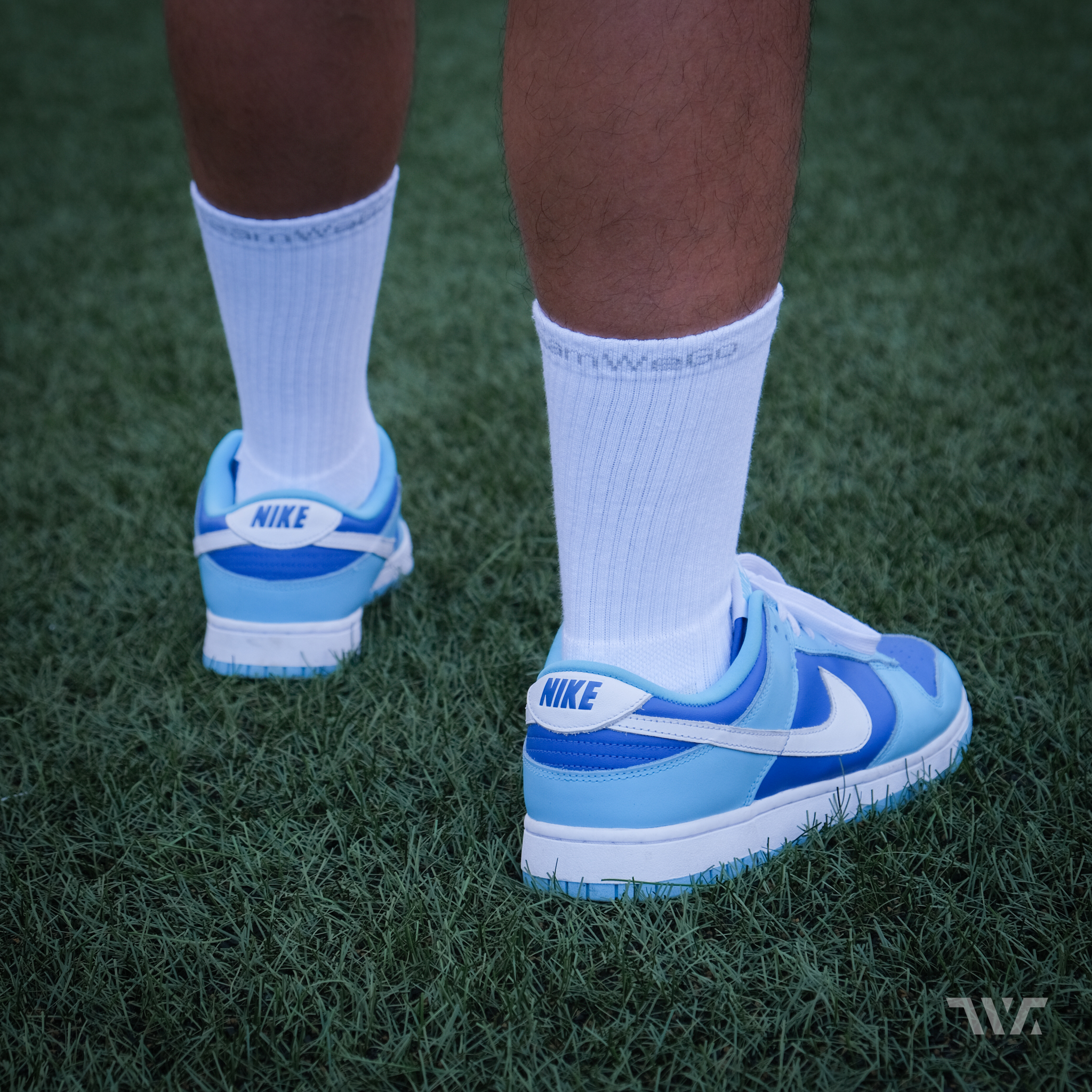 TeamWeGo Gear Daily Crew Socks (3對)