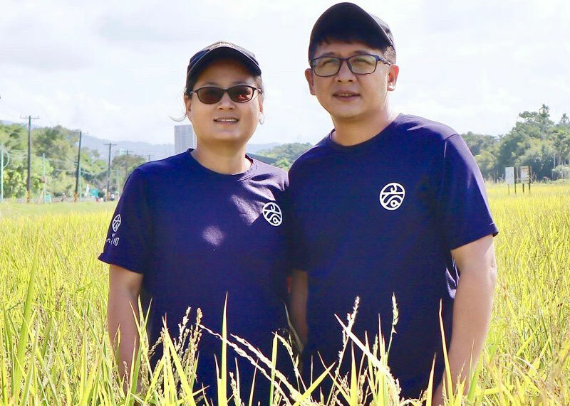 守護神聖的台北水稻田！八仙六代園夫妻：從農永不退流行，在台北務農更光榮