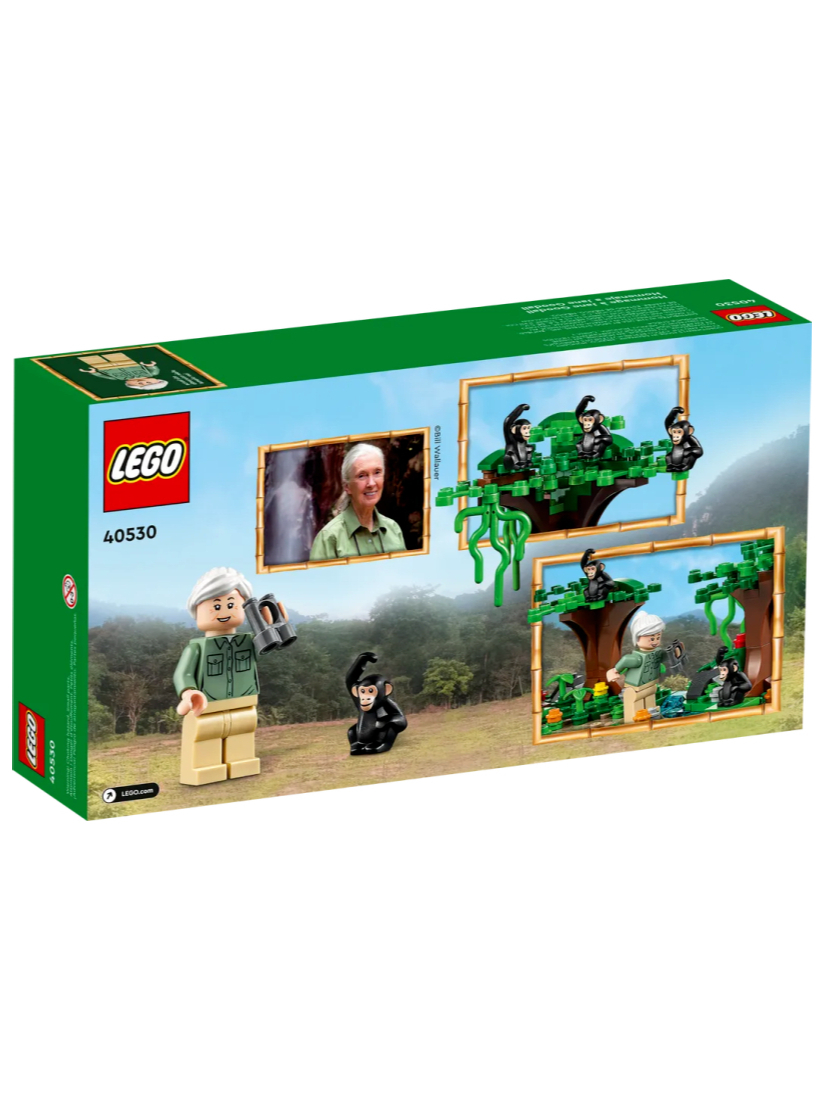 LEGO 40530 Jane Goodall Tribute