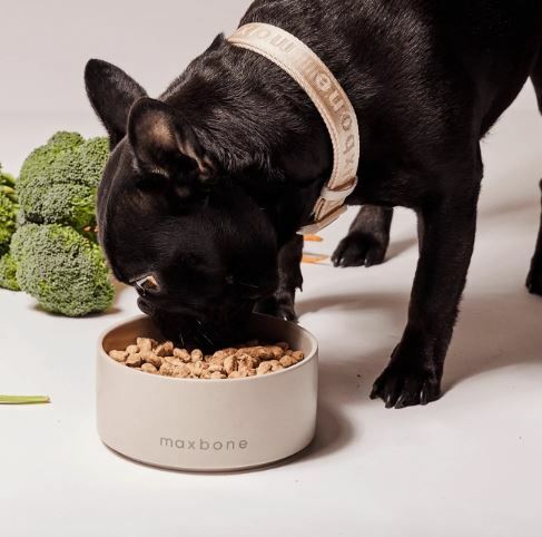 MaxBone - Classic Ceramic Bowl - Stone Color