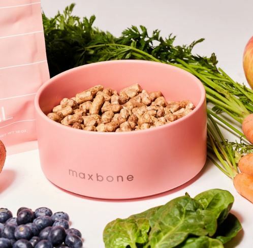 MaxBone - Classic Ceramic Bowl - Pink Color