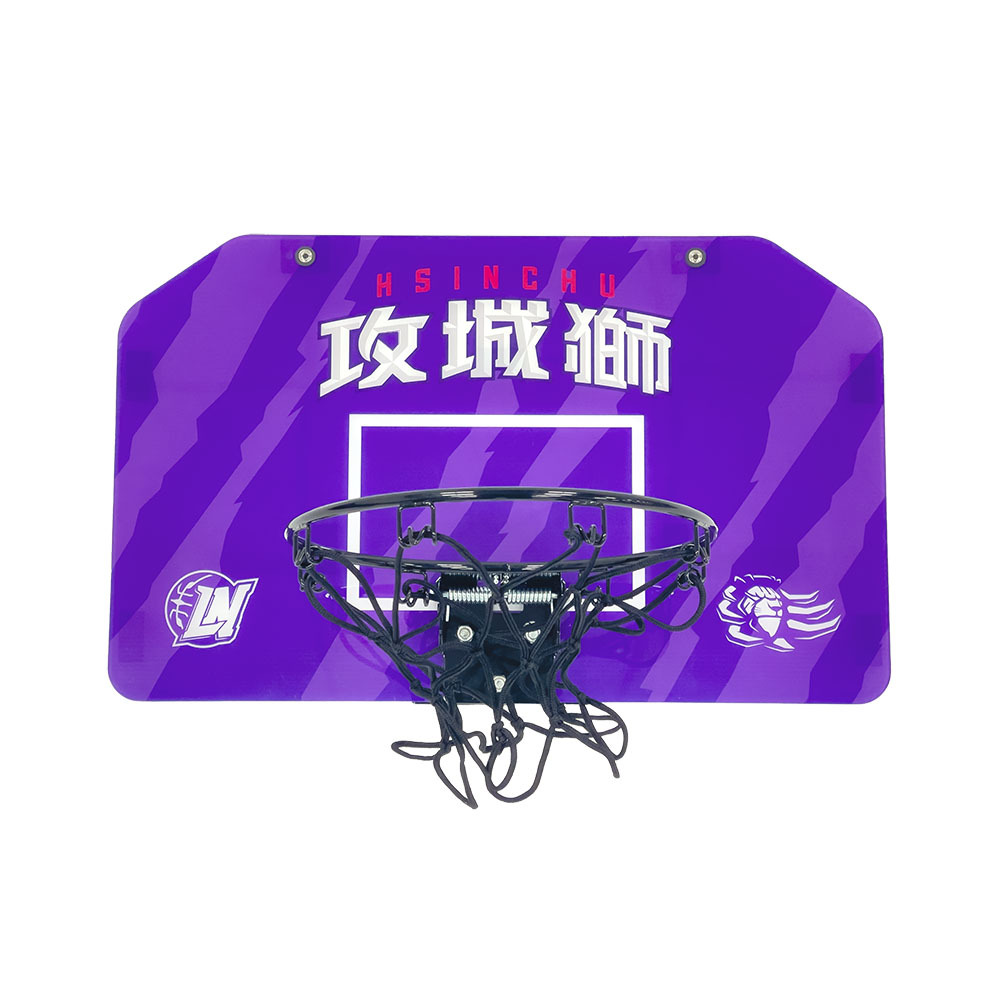 22-23 攻城獅室內籃板組