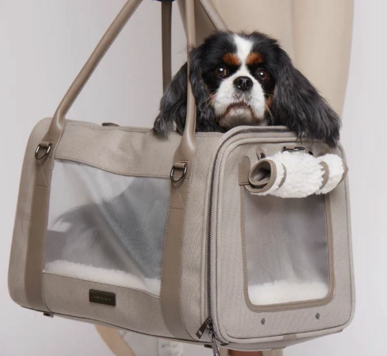 MaxBone Global Citizen Pet Carrier Bag