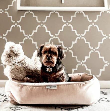 MaxBone - Signature Dream Catcher Bed - Rose Dust