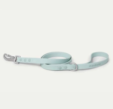 MaxBone - Hazel Leash - Mint