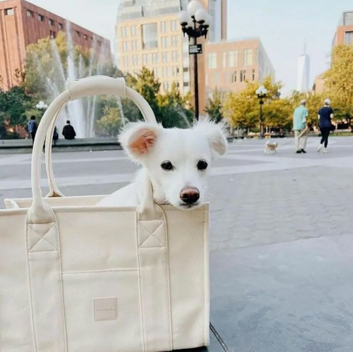 MaxBone - Signature Carry All Tote