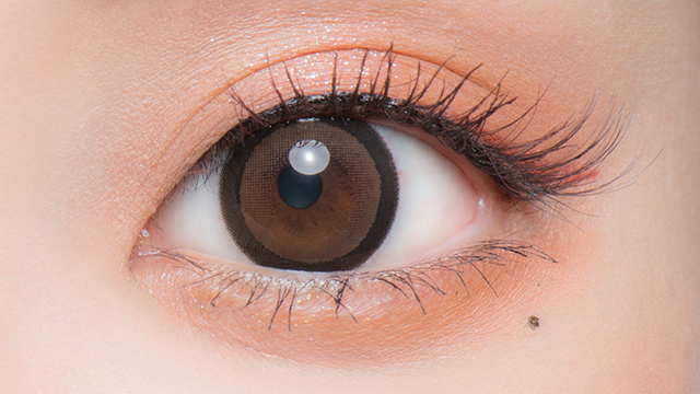 Flurry by color 1 day Ring Dark Brown Color Contact Lens 每日即棄有色隱形眼鏡(1DAY)(10片裝)
