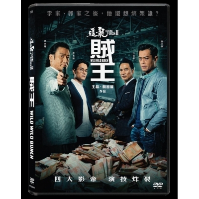 追龍II：賊王 (DVD)