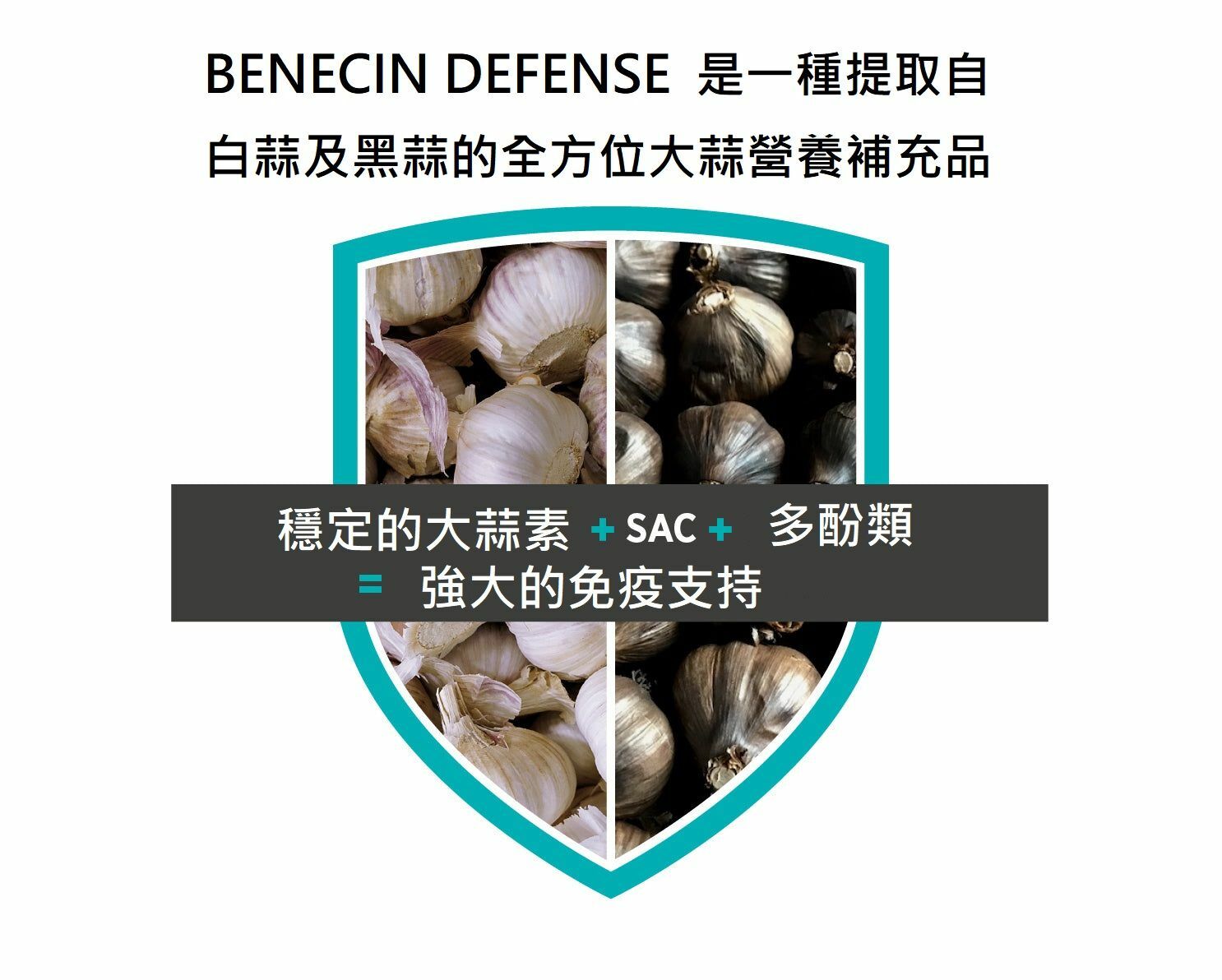 黑白蒜專利技術濃縮精華 Defenses