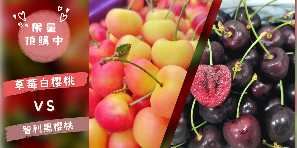 智利黑櫻桃,白櫻桃