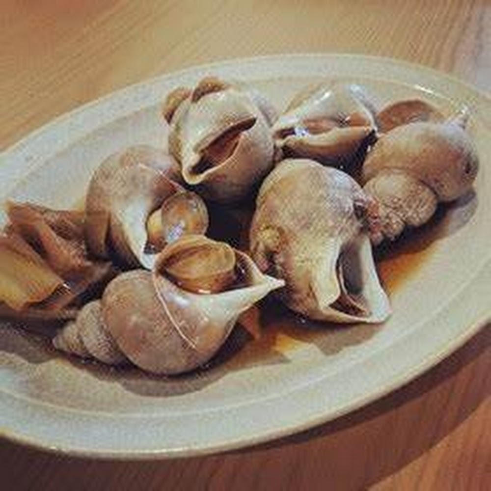 日本鳳螺,白梅貝--每500克