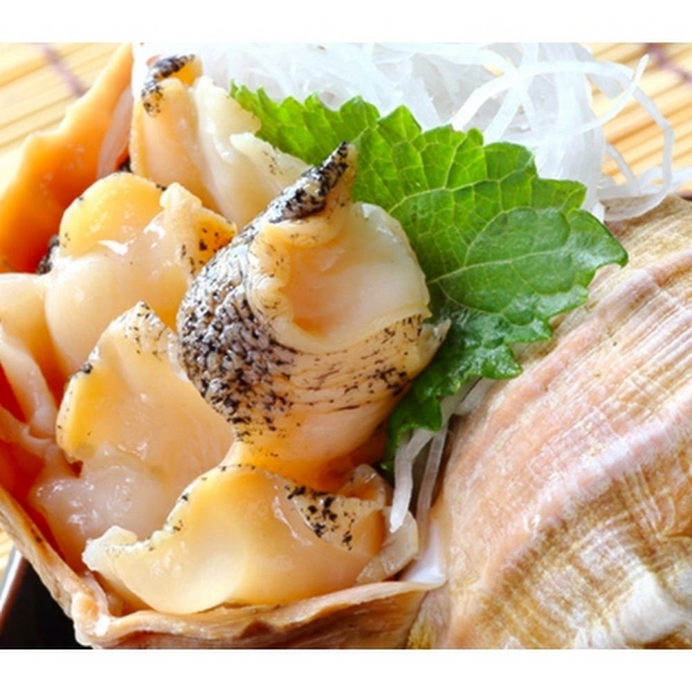 活粒貝 (原粒响螺) -- 每隻