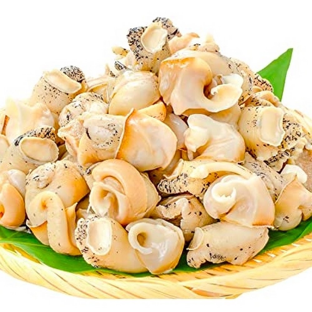 鮮粒貝肉 (响螺頭肉) -- 每500g