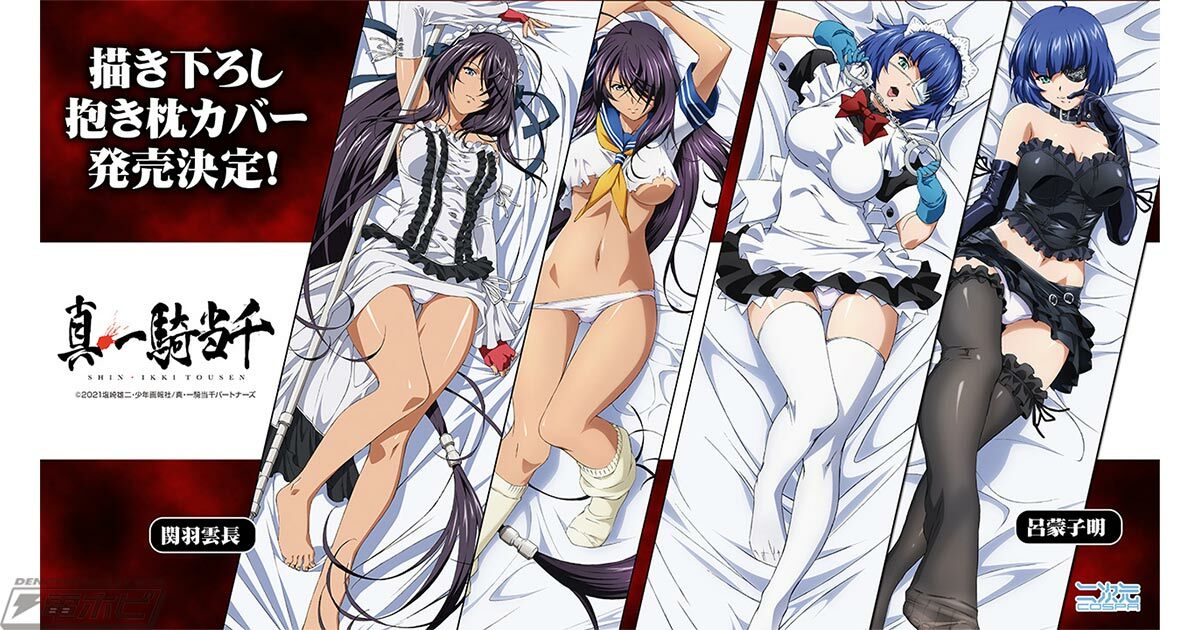 「ACG.GO」「預購」真・一騎當千 抱枕 關羽雲長/呂蒙子明