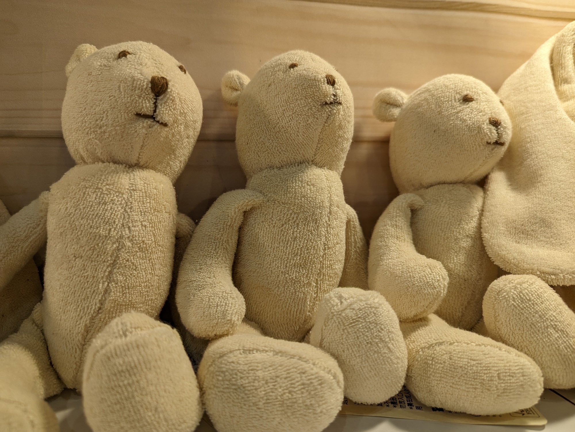 藍天畫布有機棉埃及棉娃娃熊寶寶