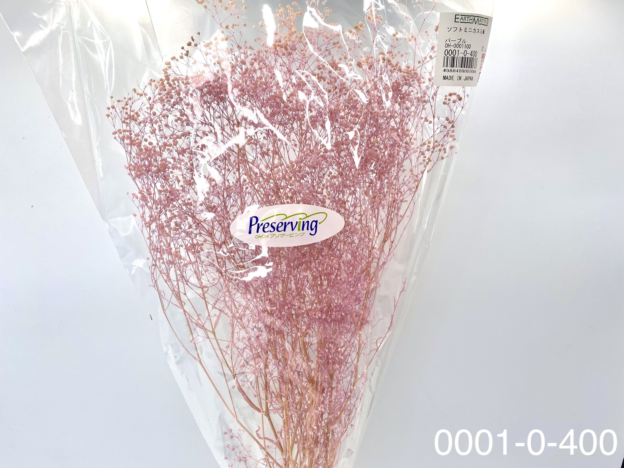 日本不凋迷你滿天星 00010-400