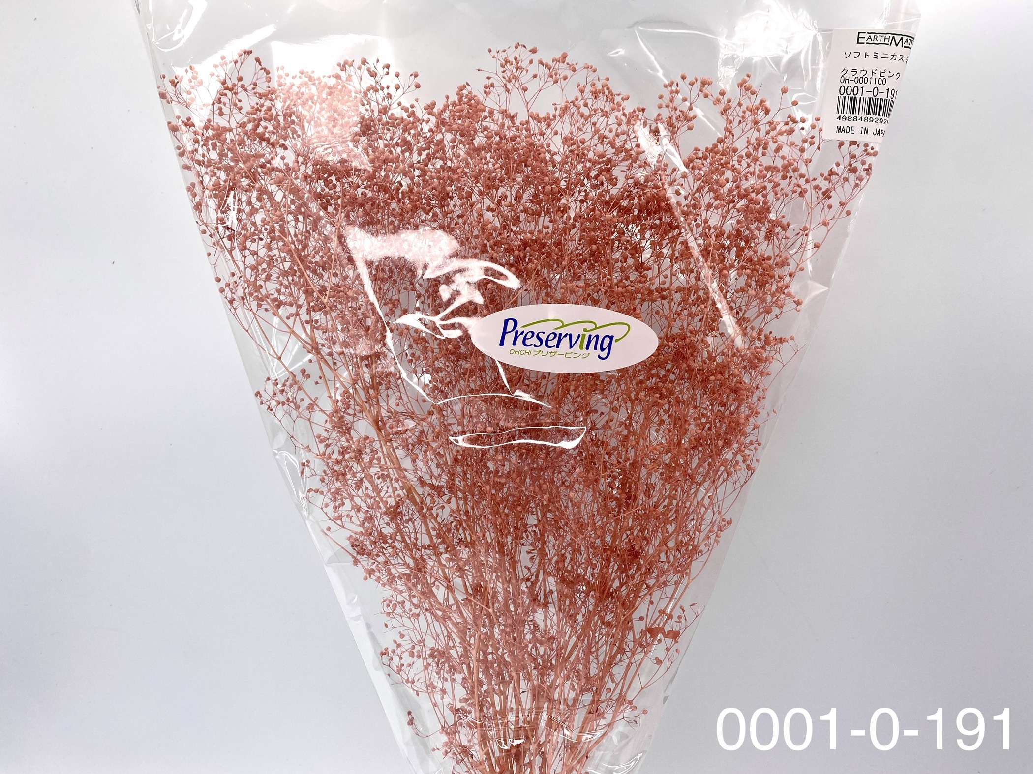 日本不凋迷你滿天星 00010-191